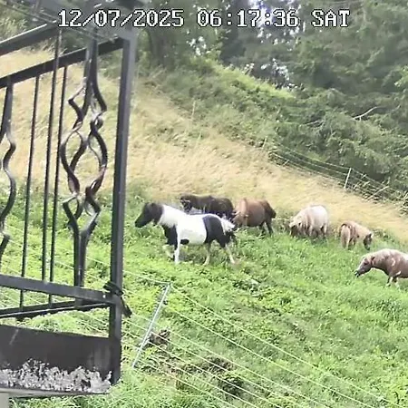 Tersilla Pensionat 3*