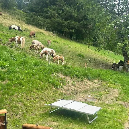 Tersilla Santo Stefano Di Cadore