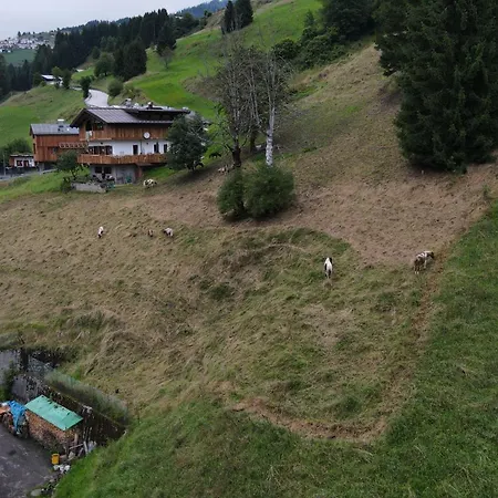 Tersilla Santo Stefano Di Cadore