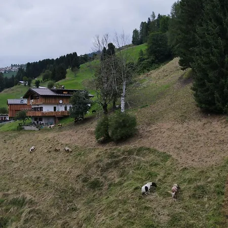 Tersilla 3* Santo Stefano Di Cadore