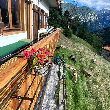 Gasthuis Tersilla Santo Stefano Di Cadore