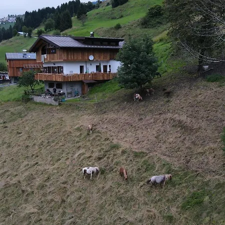 Affittacamere Tersilla Santo Stefano Di Cadore