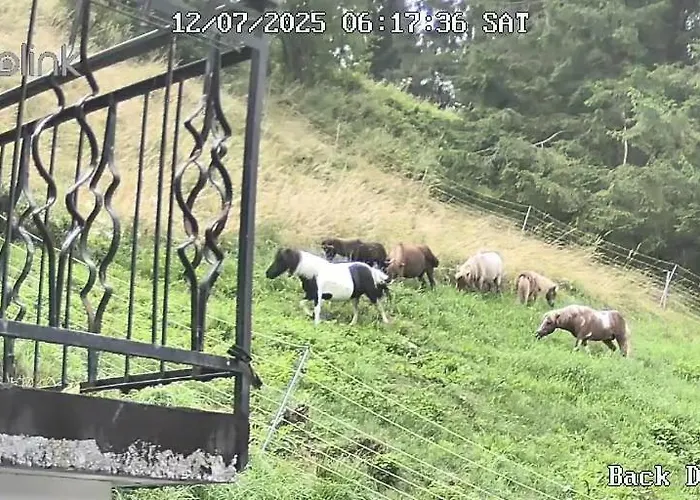 Tersilla Pensjonat 3*