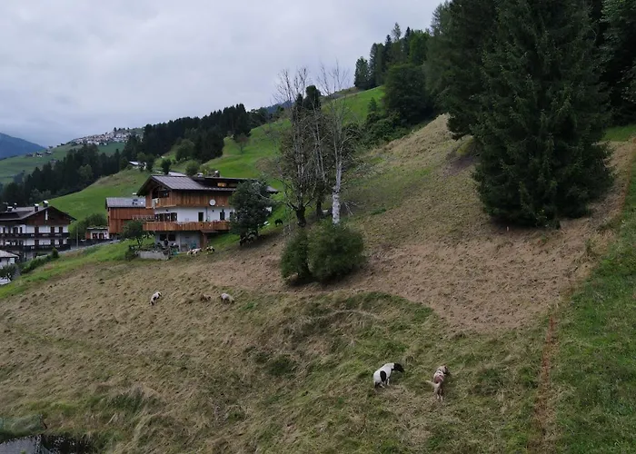 Tersilla 3* Santo Stefano Di Cadore